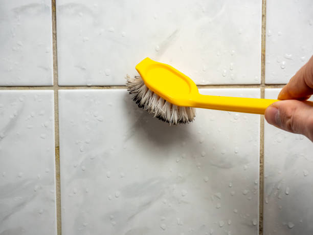Best Mold Testing and Removal  in Church Hill, TN