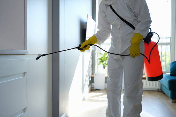 Best Professional Mold Removal  in Church Hill, TN